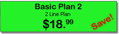 2 Line VoIP Plan